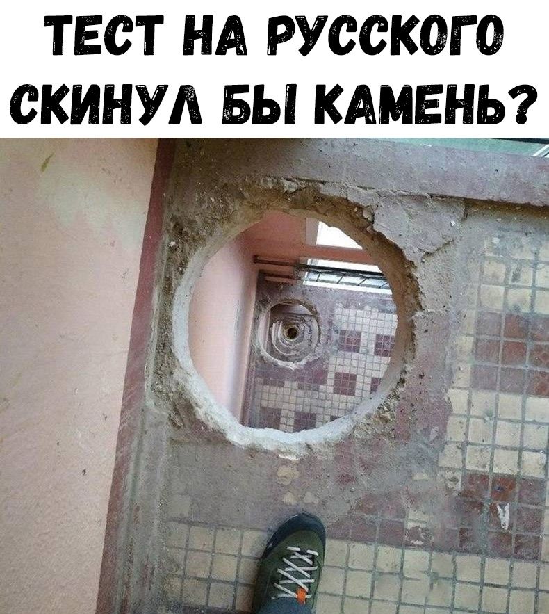 ТЕСТ НА РУССКОГО СКИНУЛ БЫ КАМЕНЦ