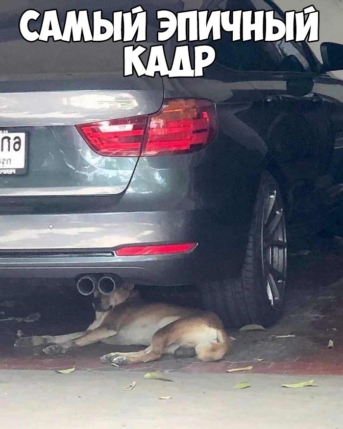 сдмыи эпичнБТ
