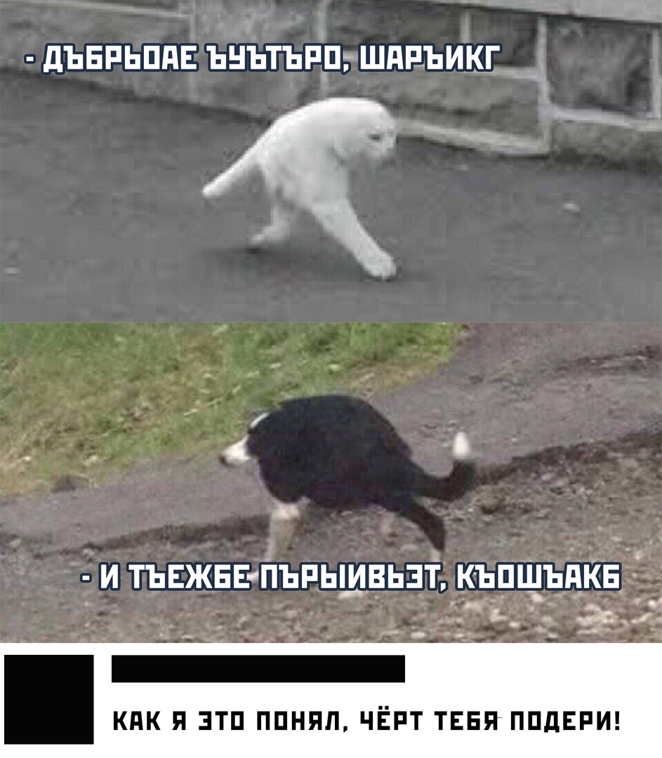 дЬЕРЬППЕ ЬНЪТЬРД ШПЕЬИКГ и тъвжввгпъпьшвьзт КЁПЩЪЁКЁ пч О ь_ 934 и _ о _ кпк я эти ппняп чёрт тваи ППдЕРИ