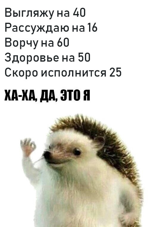 Выгпяжу на 40 Рассуждаю на 16 Ворчу на 60 Здоровье на 50 Скоро исполнится 25 ХА Хд М 3111 я