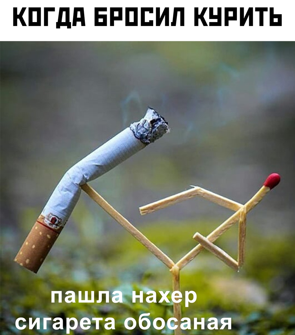 КПГдд ЕРПЕИЛ КНРИТЬ сигарета обосаная