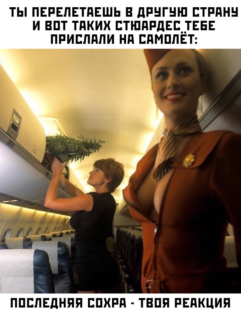 ТЫ ПЕРЕЛЕТПЕШЬ В дРНГНі П ЕТРПНН И ВПТ ТПКИХ ЕТШПРДЕЦ _ТЕЕЕ ПРИЕЛдЛИ Нд ЕПМПЛЁТ ППЕЛЕДНЯЯ ЕПХРП ТВПП РЕАКЦИЯ