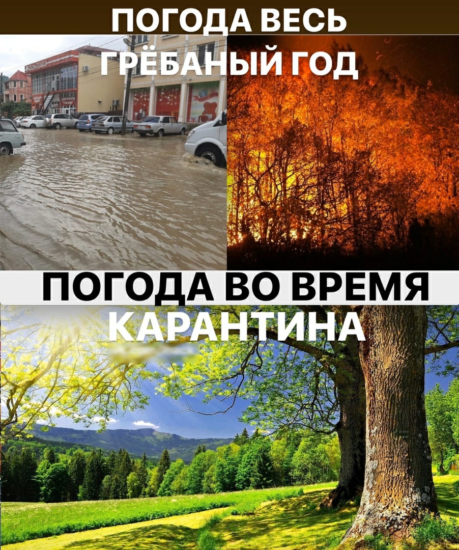 п9г0_ АВЕСЬ __ПЁый год д