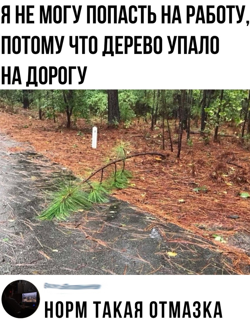 Я НЕ МОГУ ПОПАСТЬ НА РАБОТУ потомучто ДЕРЕВО упдлп нд дорогу НОРМ ТАКАЯ ОТМАЗКА