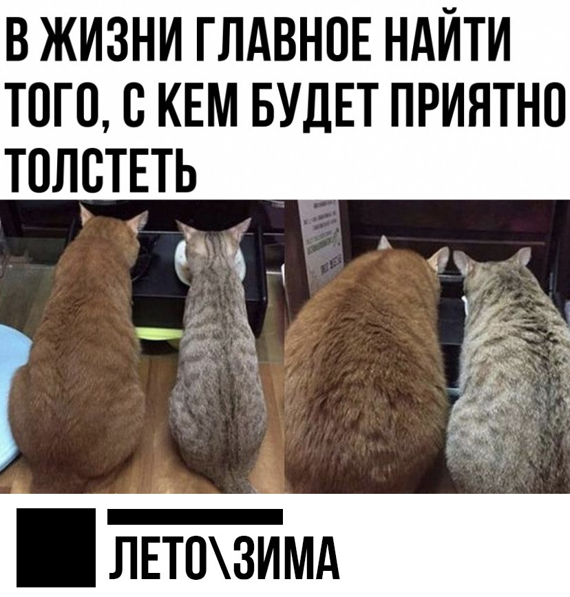 В ЖИЗНИ ГЛАВНОЕ НАЙТИ того с кем БУДЕТ приятно толтпь мд ЁЁ _ ц а 3 Г а ч Г іі