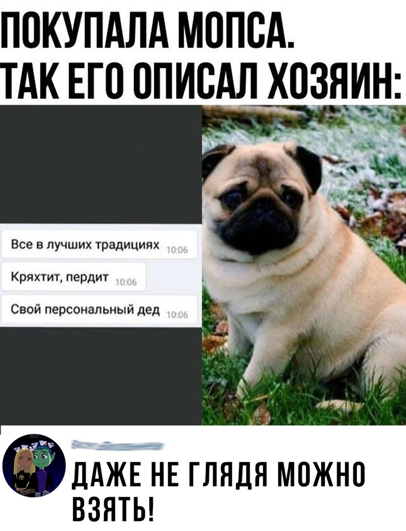 ПОКУПАЛА МППВА ТАК ЕГО ОПИВАЛ ХОЗЯИН ак дАЖЕЪЕглядяможнп ВЗЯТЬ