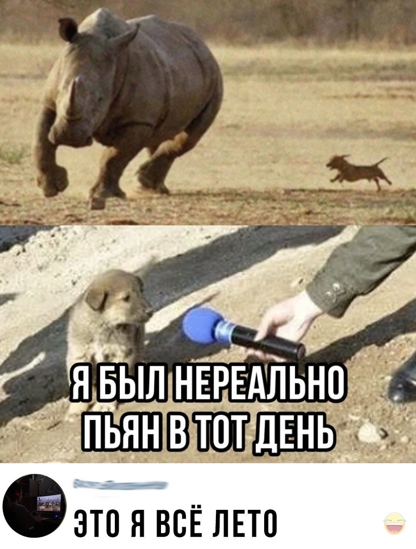 ддьщнэыльнп 32 пьян вто ФЗТП Я ВСЁ ЛЕТО