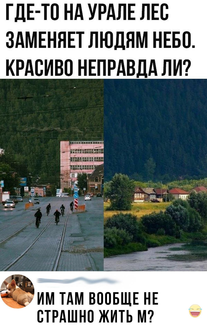 ГДЕ ТП НА УРАЛЕ ЛЕВ ЗАМЕНЯЕТ ЛЮДЯМ НЕБО КРАСИВП НЕПРАВДА ЛИ ИМ ТАМ ВООБЩЕ НЕ ВТРАШНО ЖИТЬ М