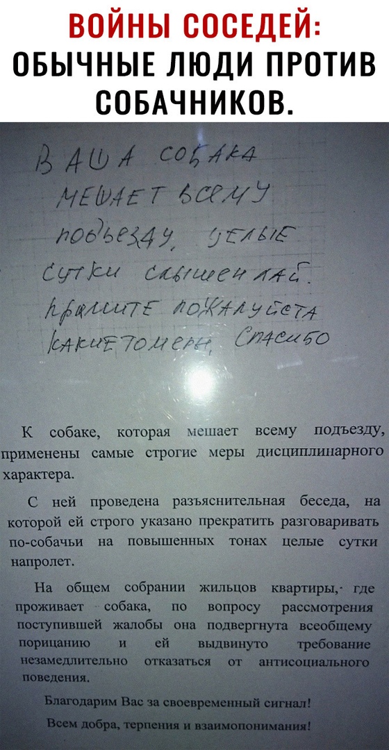 ВЮЗЙНЬП ЕДЕЙ ОБЫЧНЫЕ ЛЮДИ ПРОТИВ СОБАЧНИКОВ