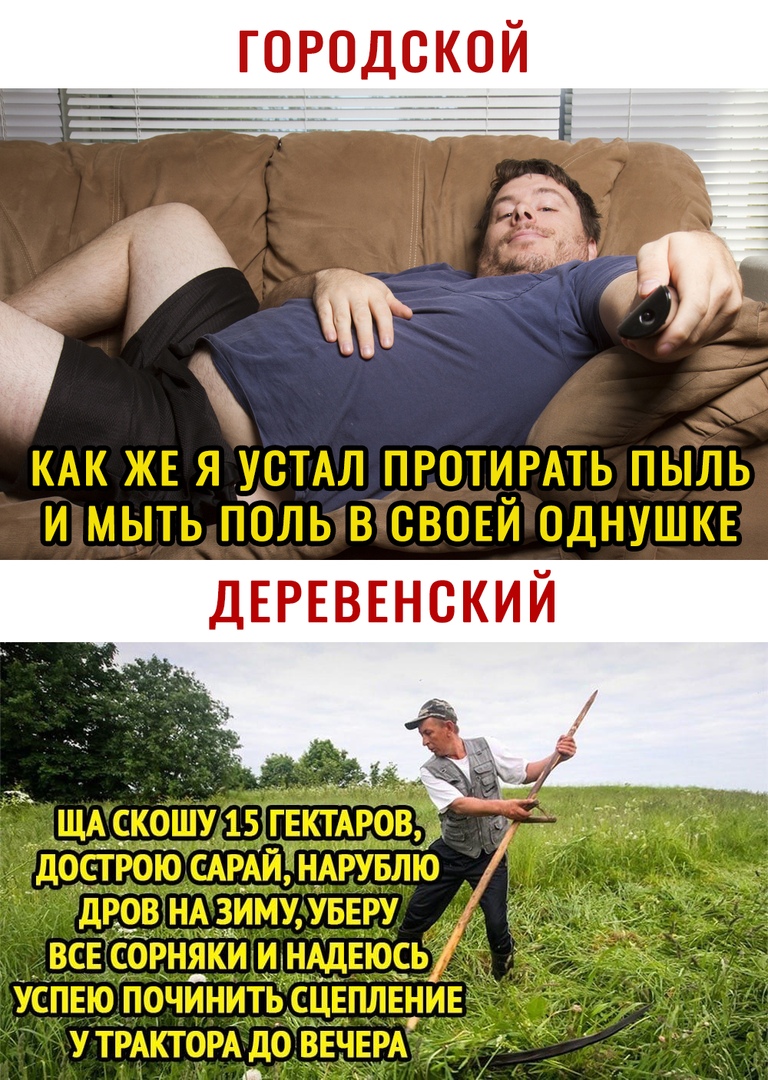 ГО РОДС КОИ
