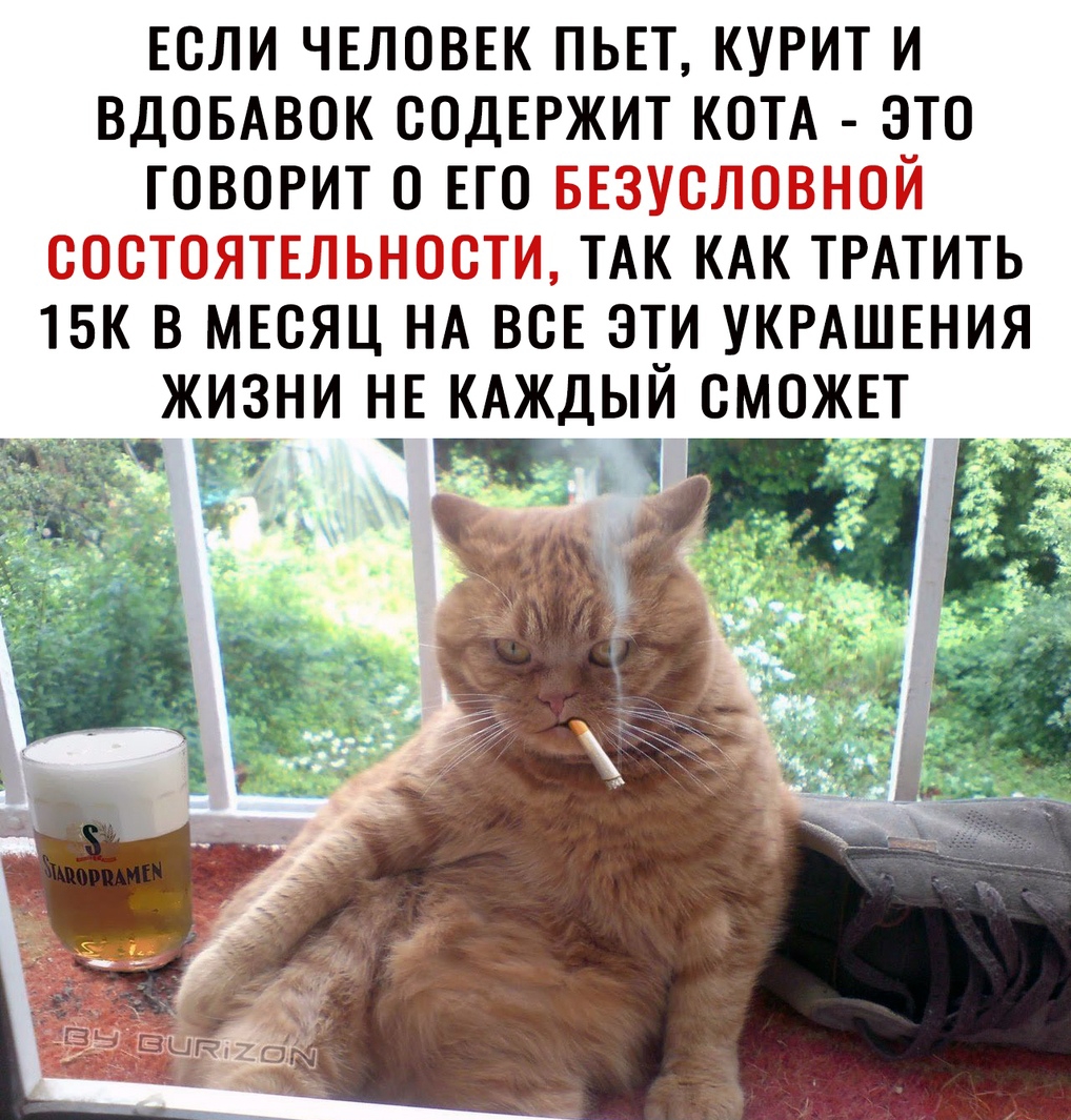 ЕСЛИ ЧЕЛОВЕК ПЬЕТ КУРИТ И ВДОБАВОК СОДЕРЖИТ КОТА ЭТО ГОВОРИТ 0 ЕГО БЕЗУСЛОВНОЙ СОСТОЯТЕЛЬНОСТИ ТАК КАК ТРАТИТЬ 15К В МЕСЯЦ НА ВСЕ ЭТИ УКРАШЕНИЯ ЖИЗНИ НЕ КАЖДЫЙ СМОЖЕТ ЁЁ 7