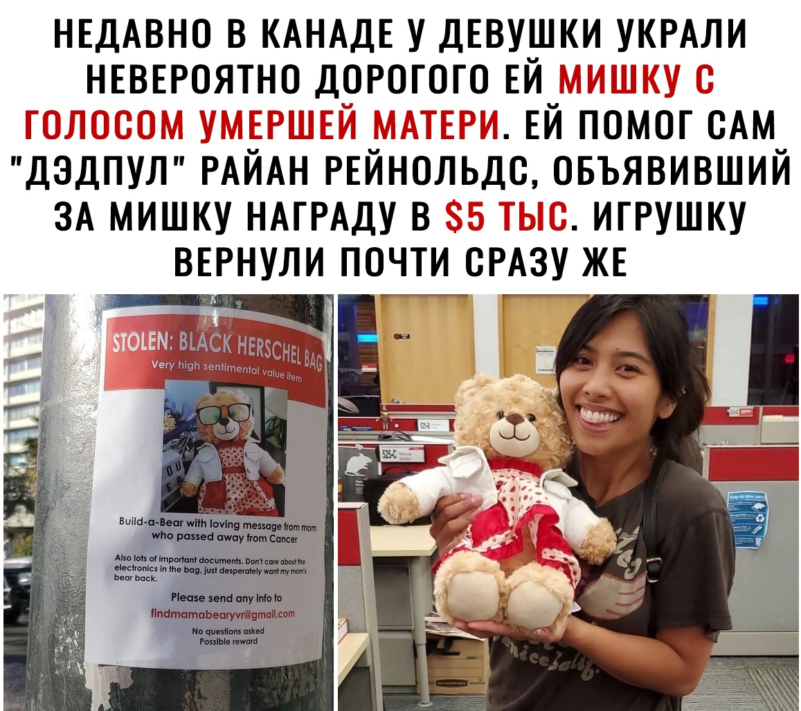 НЕДАВНО В КАНАДЕ У ДЕВУШКИ УКРАЛИ НЕВЕРОЯТНО ДОРОГОГО ЕЙ ЕЙ ПОМОГ ВАМ ДЭДПУЛ РАИАН РЕЙНОЛЬДС ОБЪЯВИВШИЙ ЗА МИШКУ НАГРАДУ В ИГРУШКУ ВЕРНУЛИ ПОЧТИ СРАЗУ ЖЕ 4