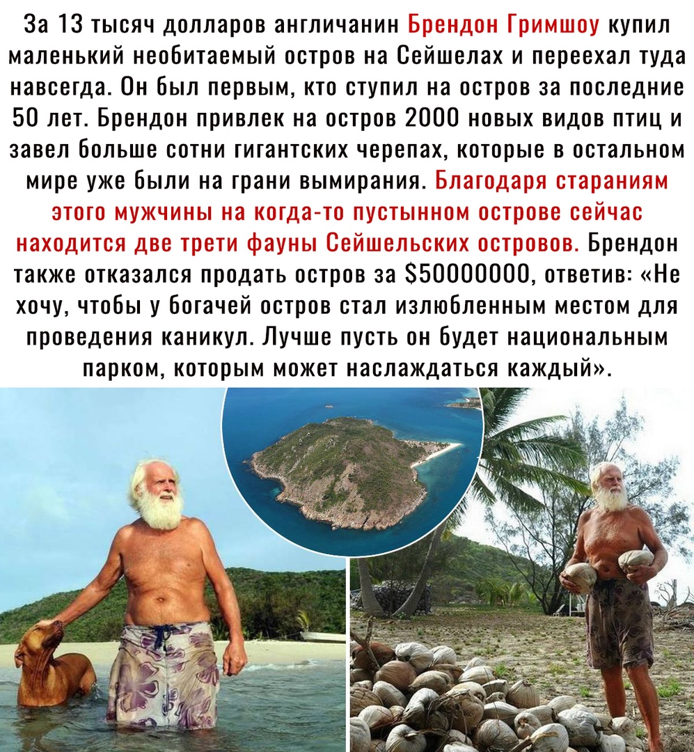 За 13 тысяч долларов англичанин купил маленький необитаемый остров на Сейшелах и переехал туда навсегда Он был первым кто ступил на остров за последние 50 лет Брендон привлек на остров 2000 новых видов птиц и завел больше сотни гигантских черепах которые в остальном мире уже были на грани вымирания _ _ г г Брендон также отказался продать остров за 850000000 ответив Не хочу чтобы у богачей остров с