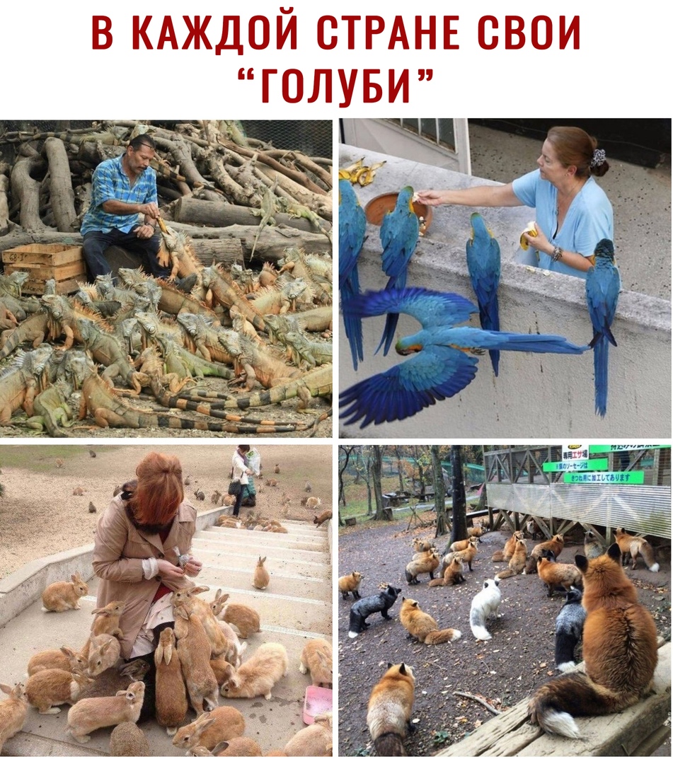 ьп9щоЙтРМЬ 0ЛУБ