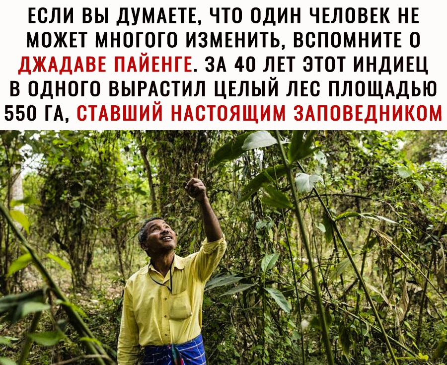 ЕСЛИ ВЫ ДУМАЕТЕ ЧТО ОДИН ЧЕЛОВЕК НЕ МОЖЕТ МНОГОГО ИЗМЕНИТЬ ВОПОМНИТЕ О ДЖАДАВЕ ПАЙЕНГЕ ЗА 40 ЛЕТ ЭТОТ ИНДИЕЦ В ОДНОГО ВЫРАОТИЛ ЦЕЛЫЙ ЛЕС ПЛОЩАДЬЮ 550 ГА СТАВЩИЙ НАСТОЯЩИМ ЗАПОВЕДНИКОМ