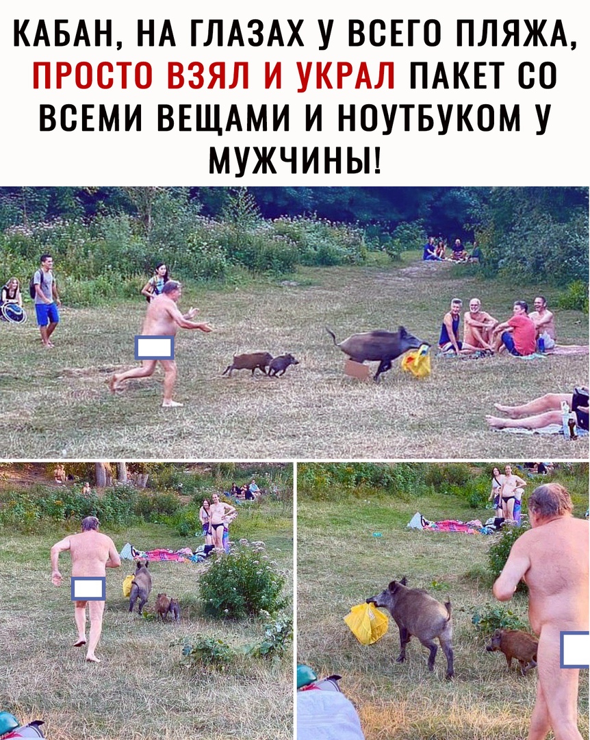 КАБАН НА ГЛАЗАХ У ВСЕГО ПЛЯЖА ПРОСТО ВЗЯЛ И УКРАЛ ПАКЕТ 00 ВСЕМИ ВЕЩАМИ И НОУТБУКОМ У МУЖЧИНЫ