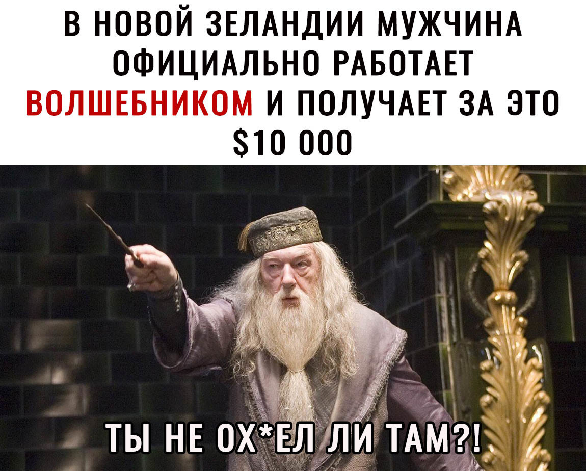В НОВОЙ ЗЕЛАНДИИ МУЖЧИНА ОФИЦИАЛЬНО РАБОТАЕТ ВОЛШЕБНИКОМ И ПОЛУЧАЕТ ЗА ЭТО ты НЕ охглл 12