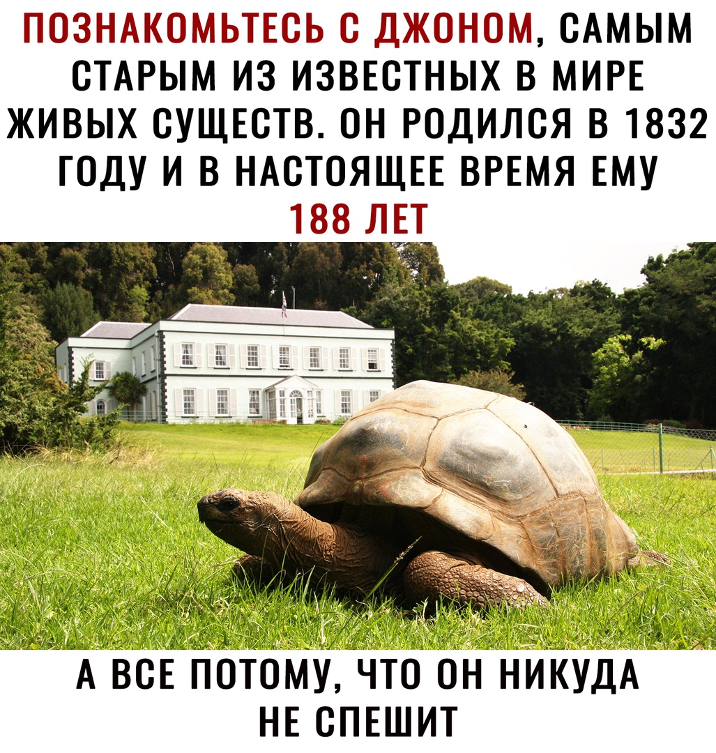 позншомьтюь джоном сАмым стмэым из известных в мин живых сущвств он родился в 1832 году и в НАСТОЯЩЕЕ врвмя ЕМУ 88 ЛЕТ А ВСЕ ПОТОМУ ЧТО ОН НИКУДА НЕ ОПЕШИТ