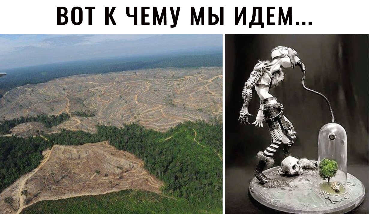 М Е Д И Ы м у М Е Ч к Т О В