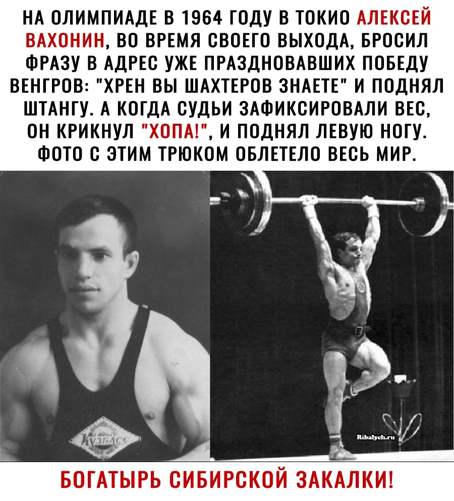 НА ОЛИМПИАДЕ В 1964 ГОДУ В ТОКИО АЛЕКСЕЙ ВАХОНИН ВО ВРЕМЯ СВОЕГО ВЫХОДА БРООИЛ ФРАЗУ В АДРЕС УЖЕ ПРАЗДНОВАВШИХ ПОБЕДУ ВЕНГРОВ ХРЕН ВЫ ШАХТЕРОВ ЗНАЕТЕ И ПОДНЯЛ ШТАНГУ А КОГДА СУДЬИ ЗАФИКОИРОВАЛИ ВЕО ОН КРИКНУЛ ХОПА И ПОДНЯЛ ЛЕВУЮ НОГУ ФОТО С ЭТИМ ТРЮКОМ ОБЛЕТЕЛО ВЕОЬ МИР п7 а 1 А4 БОГАТЫРЬ СИБИРСКОЙ ЗАКАЛКИ
