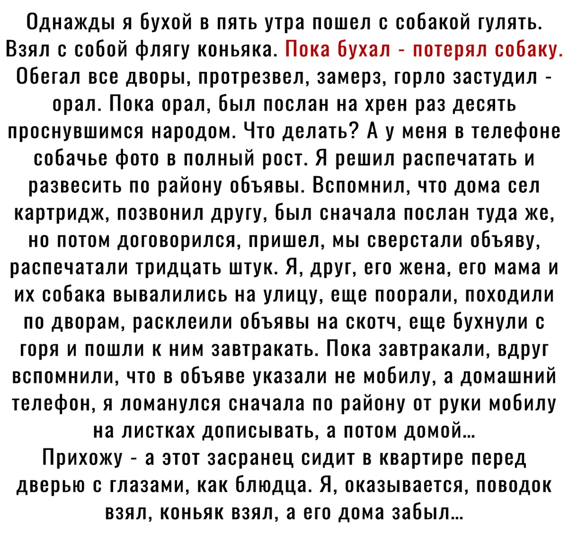 Однажды я бухой в пять утра пошел с собакой гулять Взял с собой флягу коньяка Пока бухал потерял собаку Обегал все дворы протрезвел замерз горло застудил орал Пока орал был послан на хрен раз десять проснувшимся народом Что делать А у меня в телефоне собачье фото в полный рост Я решил распечатать и развесить по району объявы Вспомнил что дома сел картридж позвонил другу был сначала послан туда же 