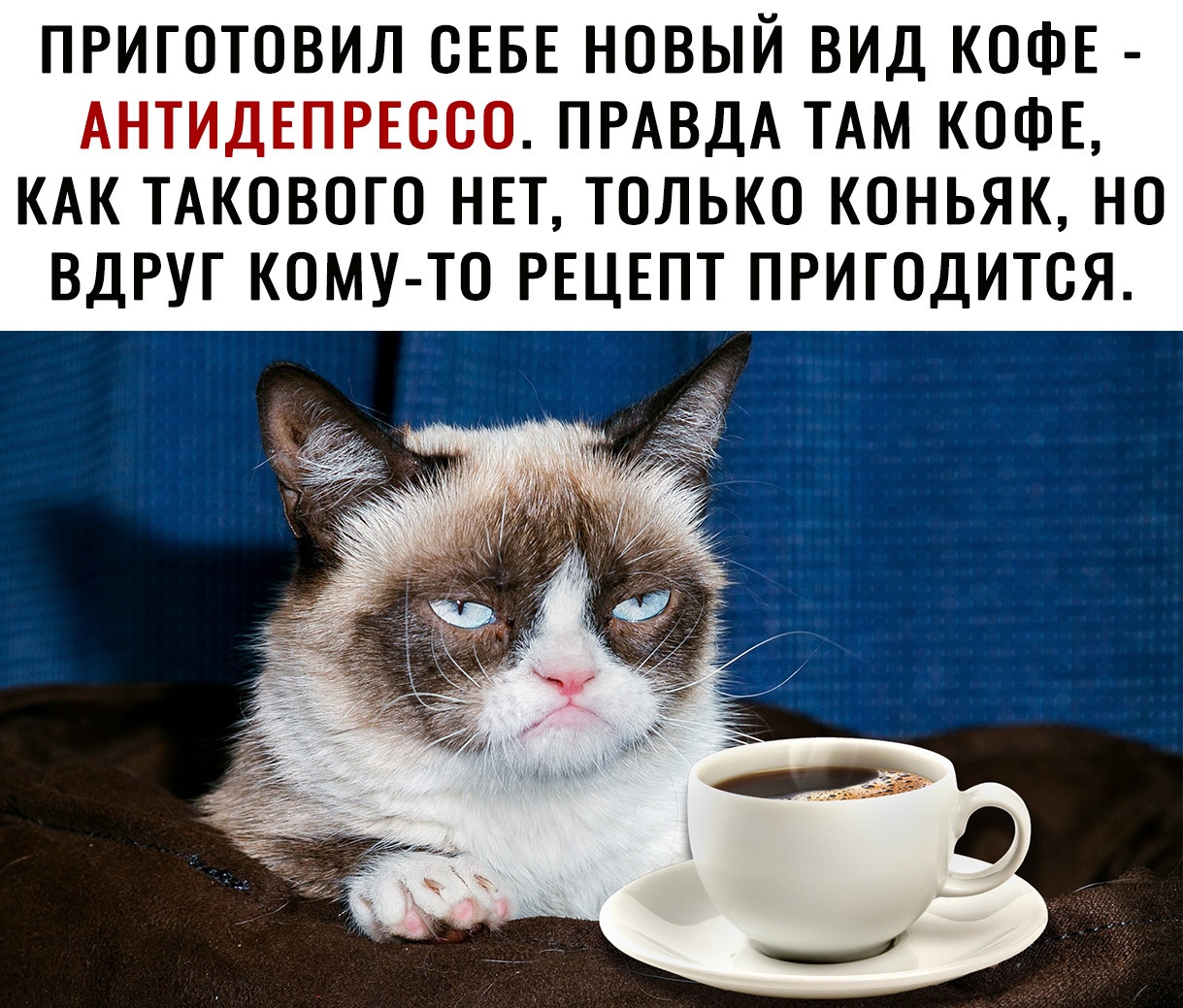 ПРИГОТОВИЛ ОЕБЕ НОВЫЙ ВИД КОФЕ АНТИДЕПРЕООО ПРАВДА ТАМ КОФЕ КАК ТАКОВОГО НЕТ ТОЛЬКО КОНЬЯК НО ВДРУГ КОМУ ТО РЕЦЕПТ ПРИГОДИТОЯ