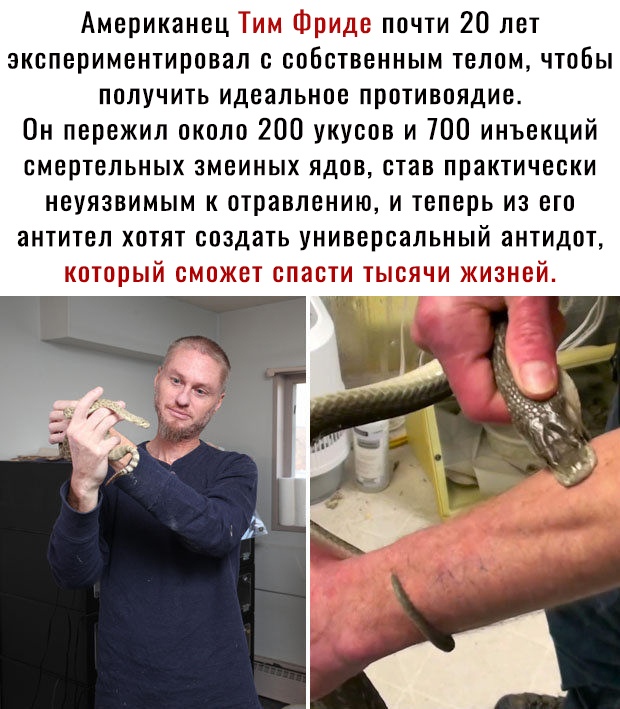 Американец Ыы 1 почти 20 лет экспериментировал с собственным телом чтобы получить идеальное противоядие Он пережил около 200 укусов и 700 инъекций смертельных змеиных ядпв став практически неуязвимым к отравлению и теперь из его антител хотят создать универсальный антидпт лтпрэй емезкет этаетп тысячи жизней