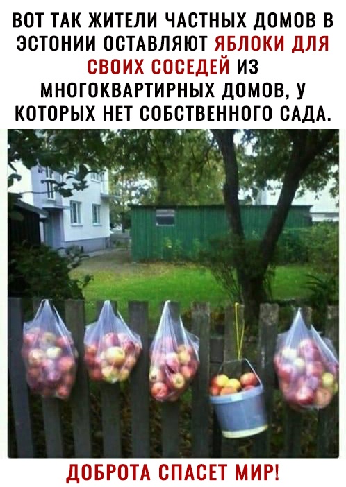 вот ТАК житнли чдстных домов в эстонии встАвляют явлоки для своих сосЕдЕй из многоквдгтирных домов у которых нп совстввнного САДА из _ к ДОБРОТА СПАСЕТ МИР
