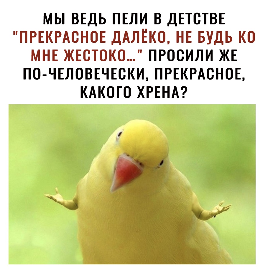 МЫ ВЕДЬ ПЕЛИ В ДЕТСТВЕ ПРЕКРАОНОЕ ДАЛЕКО НЕ БУДЬ КО МНЕ ЖЕОТОКО ПРООИЛИ ЖЕ ПО ЧЕЛОВЕЧЕОКИ ПРЕКРАСНОЕ КАКОГО ХРЕНА