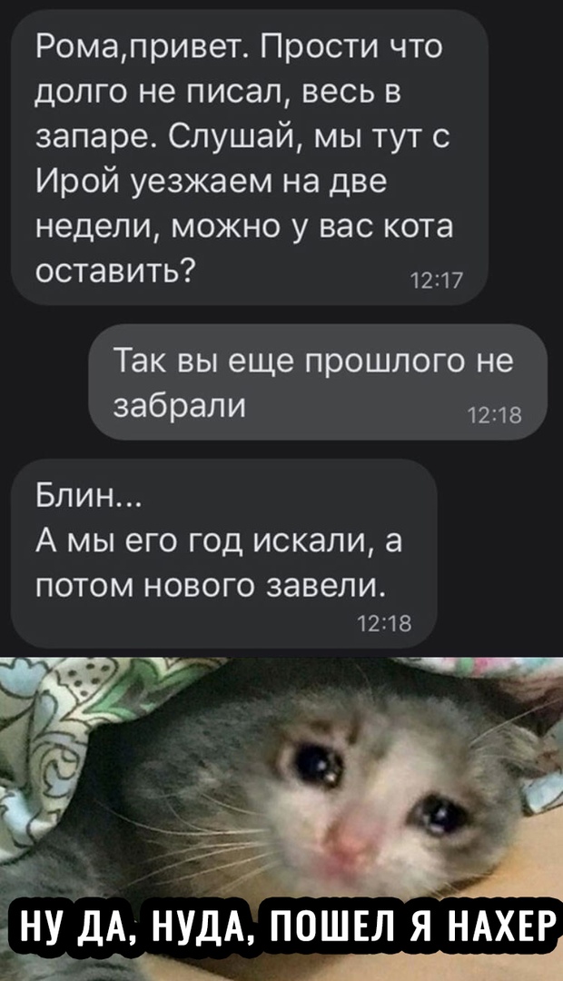 Ромапривет Прости что долго не писал весь в запаре Слушай мы тут с Ирой уезжаем на две недели можно у вас кота оставить 1217 Так ВЫ еще прошлого не забрали 1218 Блин А МЫ его ГОД ИСКЭЛИ а ПОТОМ НОВОГО завели 12118 ну дА нудА ПОШЕЛ я НАХЕР __