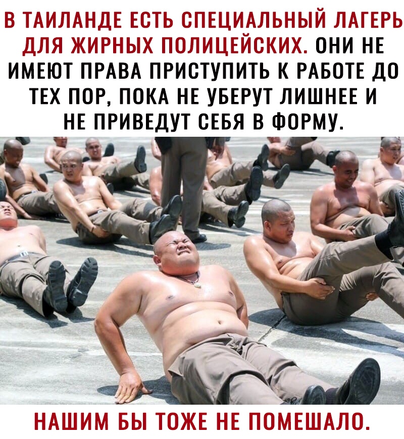 ТАЙЛАНДЕ ЕЩЕ ЁЮЗЕЦИАЛЬНЫЙ ЛПМЕРЬ ДЛЯ КИРЫХ ПЛИЦЕЙЁКМХ ОНИ НЕ ИМЕЮТ ПРАВА ПРИСТУПИТЬ К РАБОТЕ ДО ТЕХ ПОР ПОКА НЕ УБЕРУТ ЛИШНЕЕ И НЕ ПРИВЕДУТ СЕБЯ В ФОРМУ ПгПА БЫ ЖЕ