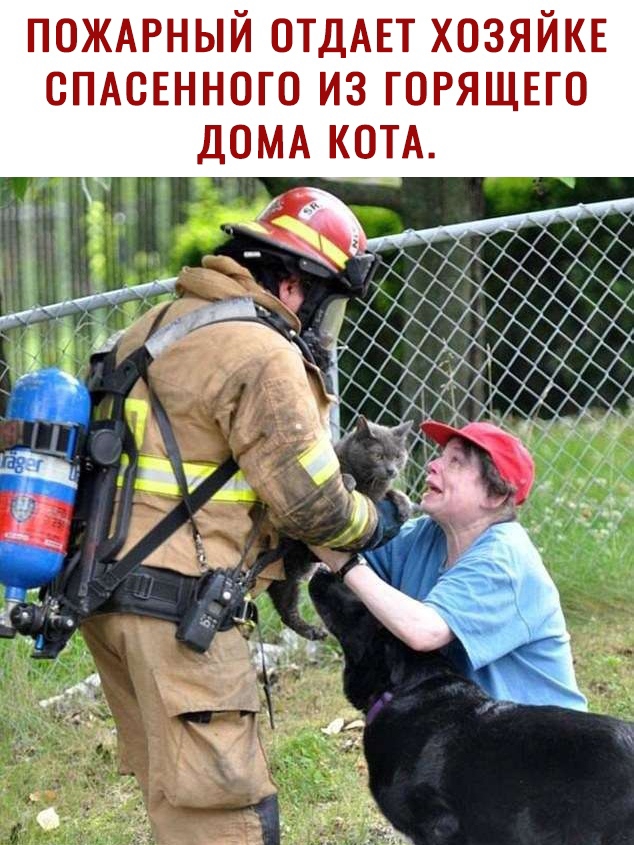 ПОЖАРНЫЙ ОТДАЕТ ХОЗЯЙКЕ СПАСЕННОГО ИЗ ГОРЯЩЕГО ДОМА КОТА