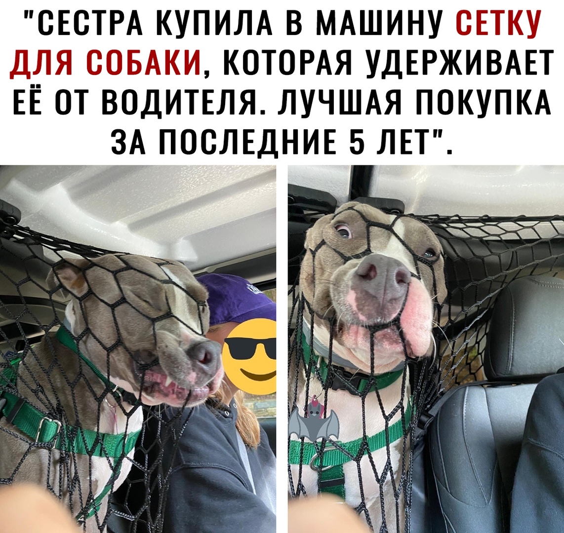 СЕСТРА КУПИЛА В МАШИНУСВ КОТОРАЯ УДЕРЖИВАЕТ ЕЁ ОТ ВОДИТЕЛЯ ЛУЧШАЯ ПОКУПКА ЗА ПОСЛЕДНИЕ 5 ЛЕТ