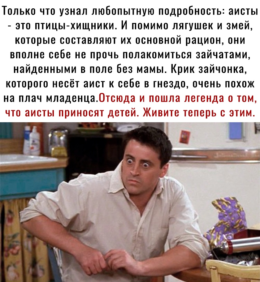 ТОЛЬКО ЧТО УЗНЗП ЛЮООПЫТНУЮ ПОДОООНООТЬ аисты ЭТО ПТИЦЫ ХИЩНИКИ И ПОМИМО ЛЯГУШБК И ЗМЕЙ КОТОРЫЕ СООТНВЛЯЮТ ИХ ОСНОВНОЙ рацион ОНИ ВПОЛНВ себе НО ПРОЧЬ ПОЛЗКОМИТЬОЯ ЗЗЙЧЭТЗМИ НЗЙДВННЫМИ В ПОЛЕ 683 МЗМЫ КРИК ЗЗЙЧОНКЗ КОТОРОГО НООЁТ аист К себе В ГНЕЗДО ОЧЕНЬ ПОХОЖ на ППЗЧ младенца ЁТГЁЮДЗ М ЙШШПЗ ЛОГОНДЁ ТОМ шПО ЫМОТГЫ ШПИНОШБП ДЕЧОЙ ЖМЖПО ТОПЩШЬ С ЭТИМ