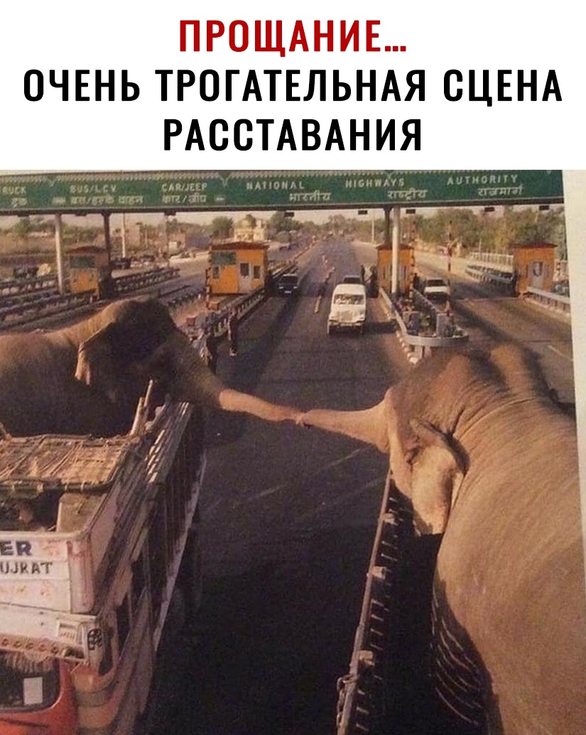 ПРОЩАНИЕ ОЧЕНЬ ТРОГАТЕЛЬНАЯ СЦЕНА РАССТАВАНИЯ