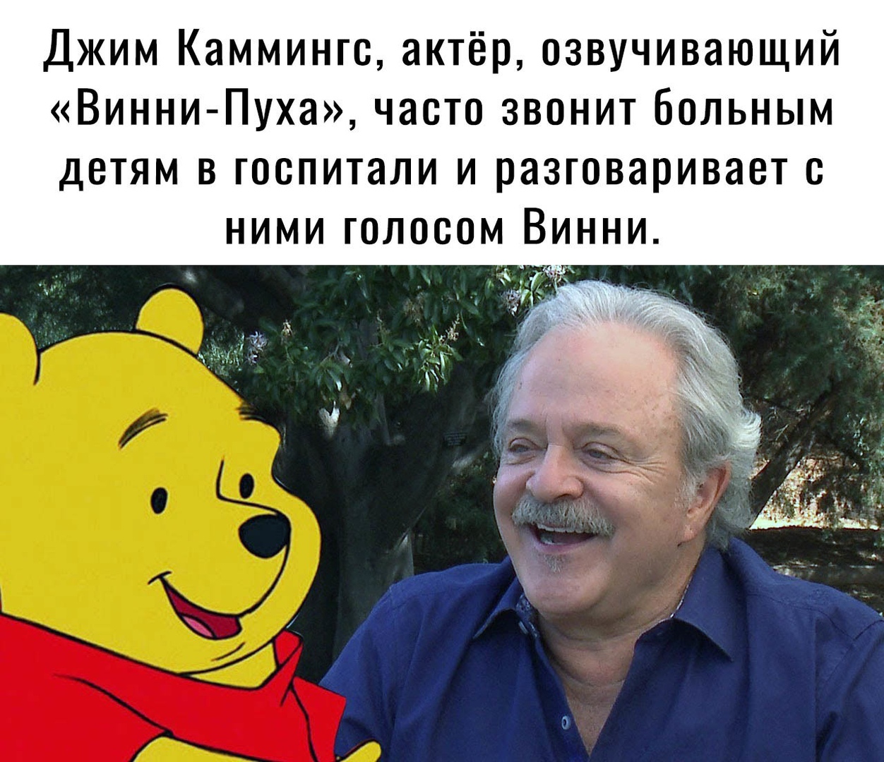 Джим Каммингс актёр озвучивающий Винни Пуха часто звонит больным детям в госпитали и разговаривает с