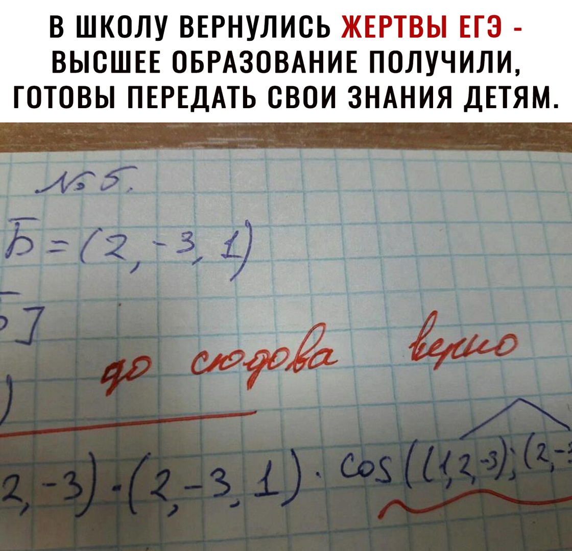 В ШКОЛУ ВЕРНУЛИОЬ ЖЕРТВЫ ЕГЭ ВЫСШЕЕ ОБРАЗОВАНИЕ ПОЛУЧИЛИ ГОТОВЫ ПЕРЕДАТЬ ОВОИ ЗНАНИЯ ДЕТЯМ