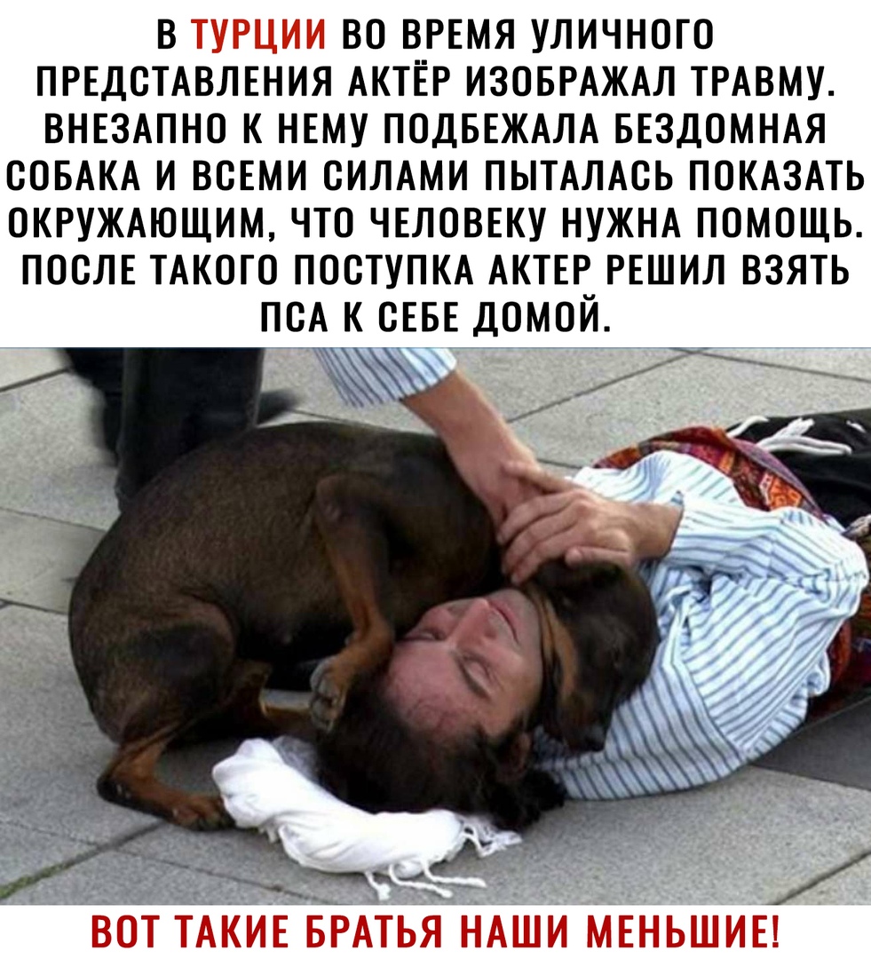 в во время уличного ПРЕДСТАВЛЕНИЯ АКТЁР ИЗОБРАЖАЛ ТРАВМУ ВНЕЗАПНО к нъму ПОДБЕЖАЛА БЕЗДОМНАЯ СОБАКА и вещи силдми пытдмсь ПОКАЗАТЬ ОКРУЖАЮЩИМ что ЧЕЛОВЕКУ НУЖНА помощь ПОСЛЕ ТАКОГО поступкд АКТЕР РЕШИЛ взять псА к СЕБЕ домой