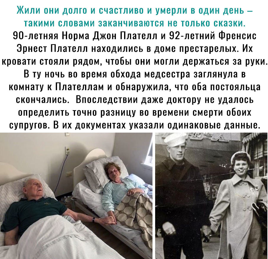 Жили они долго и счастливо и умерли в один день такими словами заканчиваются не только сказки 90 летняя Норма Джон Плателл и 92летний Френсис Эрнест Плателл находились в доме престарелых Их кровати стояли рядом чтобы они могли держаться за руки В ту ночь во время обхода медсестра заглянула в комнату к Плателлам и обнаружила что оба постояльца скончались Впоследствии даже доктору не удалось определ