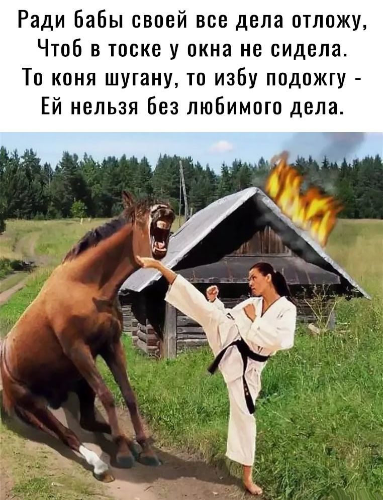 Ради бабы своей все дела отложу Чтоб в тоске у окна не сидела То коня шугану то избу подожгу Ей нельзя без любимого дела