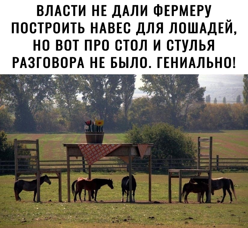 ВЛАСТИ НЕ ДАЛИ ФЕРМЕРУ _ ПОСТРОИТЬ НАВЕС ДЛЯ ЛОШАДЕИ НО ВОТ1Р0 СТОЛ И СТУЛЬЯ РАЗГОВОРА