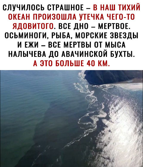 СЛУЧИЛОСЬ СТРАШНОЕ В НАШ ТИХИЙ ОКЕАН ПРОИЗОШЛА УТЕЧКА ЧЕГОТП ЯДОВИТОГО ВСЕ ДНО МЕРТВОЕ ОСЬМИНОГИ РЫБА МОРСКИЕ ЗВЕЗДЫ И ЕЖИ ВСЕ МЕРТВЫ ОТ МЫСА НАЛЫЧЕВА дО АВАЧИНСКОЙ БУХТЫ А ЗТО БОЛЬШЕ 4С КМ