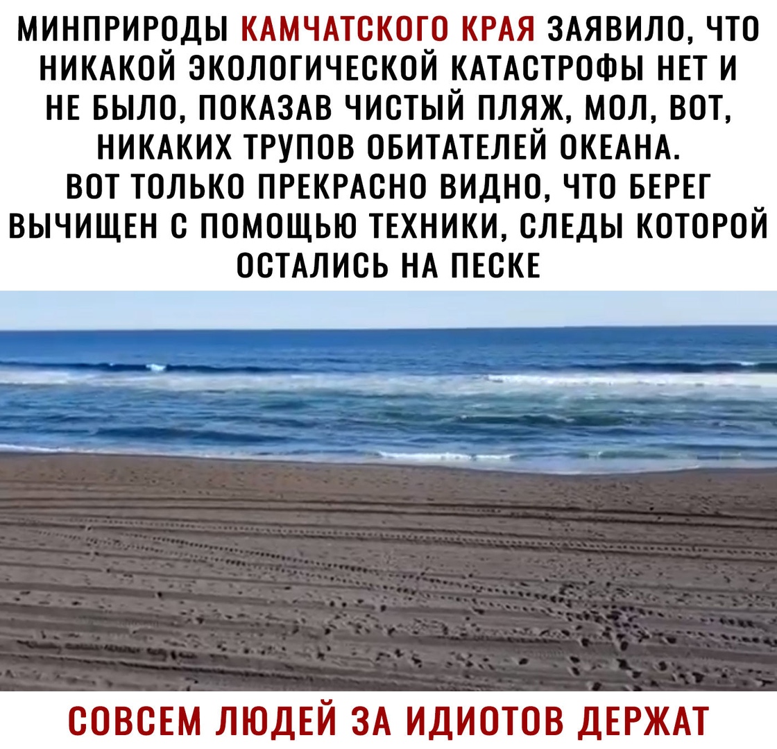 МИНПРИРОДЫ КАМЧАТСКОГО КРАЯ ЗАЯВИЛО ЧТО НИКАКОЙ ЭКОЛОГИЧЕСКОЙ КАТАСТРОФЫ НЕТ И НЕ БЫЛО ПОКАЗАВ ЧИСТЫЙ ПЛЯЖ МОЛ ВОТ НИКАКИХ ТРУПОВ ОБИТАТЕЛЕЙ ОКЕАНА ВОТ ТОЛЬКО ПРЕКРАСНО ВИДНО ЧТО БЕРЕГ ВЫЧИЩЕН С ПОМОЩЬЮ ТЕХНИКИ СЛЕДЫ КОТОРОЙ ОСТАЛИСЬ НА ПЕСКЕ СОВСЕМ ЛЮДЕЙ ЗА ИДИОТОВ ДЕРЖАТ