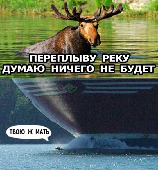 ПЕРЕП_ПЫВУ_ РЕКУЕ дУМАЮ НИЧЕГО НЕ БУДЕТ