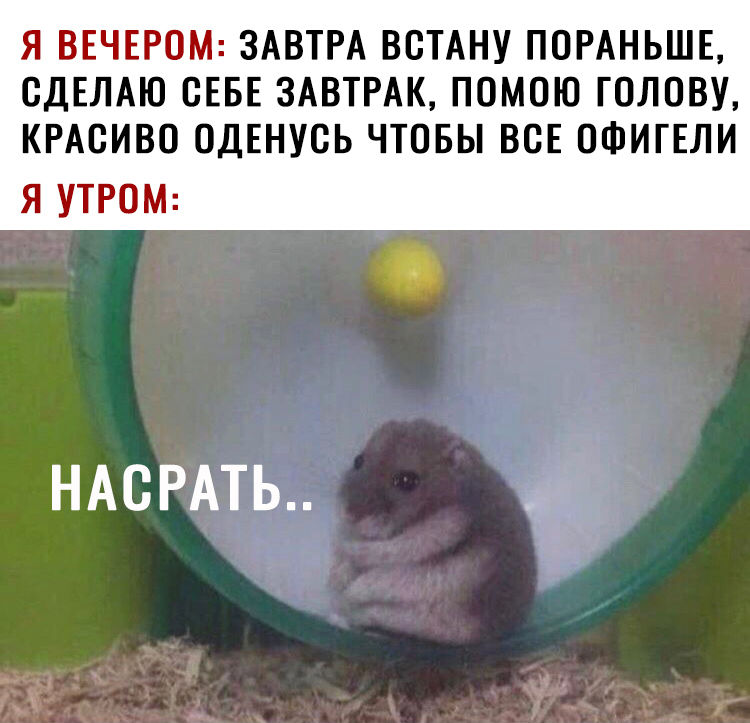 Я ВЕЧЕРОМ ЗАВТРА ВОТАНУ ПОРАНЬШЕ СДЕЛАЮ СЕБЕ ЗАВТРАК ПОМОЮ ГОЛОВУ КРАСИВО ОДЕНУСЬ ЧТОБЫ ВСЕ ОФИГЕЛИ Я УТРОМ НАСРАТЬ