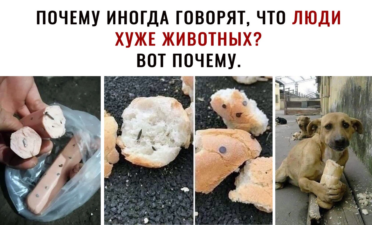 Иногда говоришь