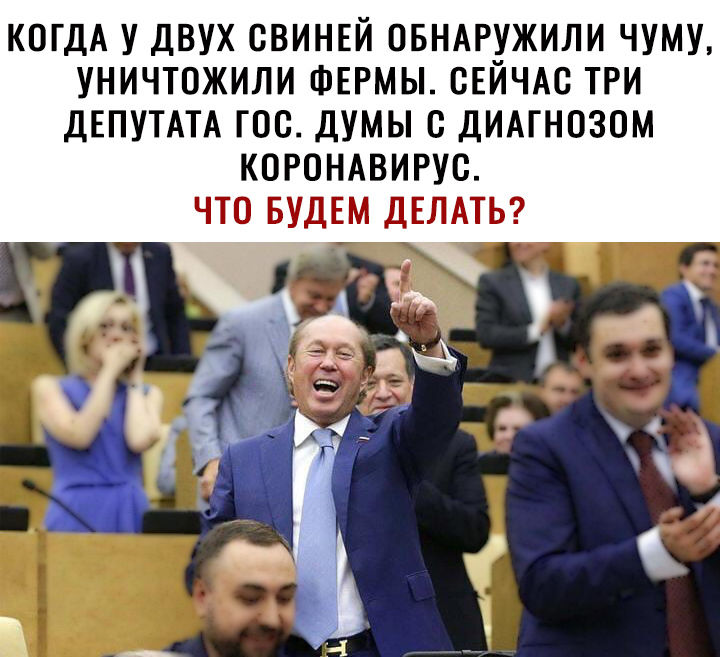 КОГДА У ДВУХ СВИНЕЙ ОБНАРУЖИЛИ ЧУМУ УНИЧТОЖИЛИ ФЕРМЫ СЕЙЧАС ТРИ ДЕПУТАТА ГОС ДУМЫ С ДИАГНОЗОМ КОРОНАВИРУС