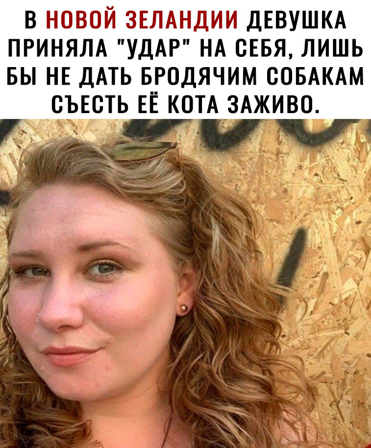 В НОВОЙ ЗЕЛАНДИИ ДЕВУШКА ПРИНЯЛА УДАР НА СЕБЯ ЛИШЬ БЫ НЕ ДАТЬ БРОДЯЧИМ СОБАКАМ __ СЪЕСТЬ ЕЕ КОТА ЗАЖИВО 53