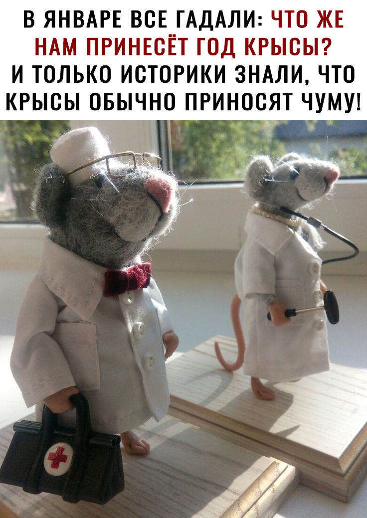 В ЯНВАРЕ ВСЕ ГАДАЛИ ЧТО ЖЕ НАМ ПРИНЕСЁТ ГОД КРЫСЫ И ТОЛЬКО ИСТОРИКИ ЗНАЛИ ЧТО КРЫСЫ ОБЫЧНО ПРИНООЯТ ЧУМУ
