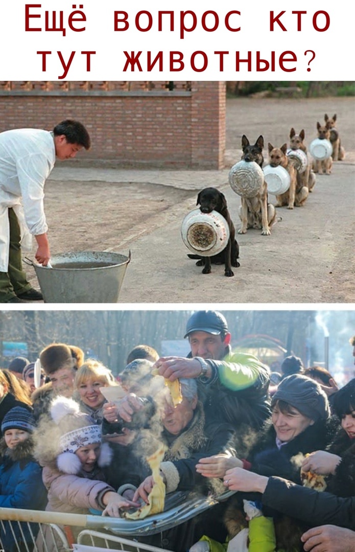 Ещё вопрос кто ТУТ животные